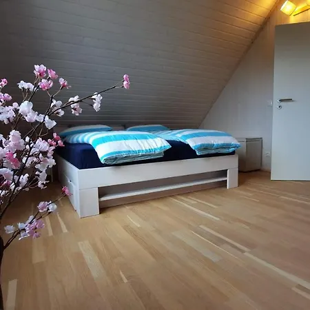 Casa Aniel * Olpenitz