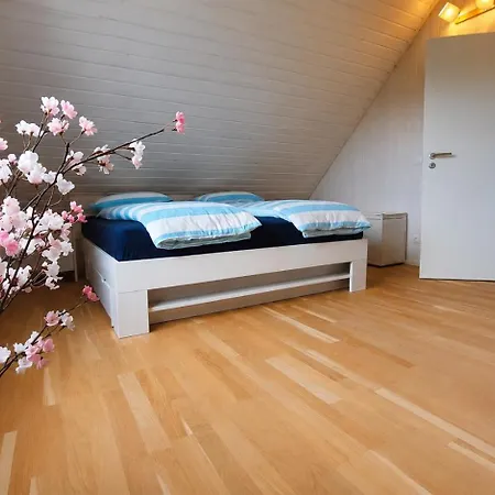 Casa Aniel Tatil Evi