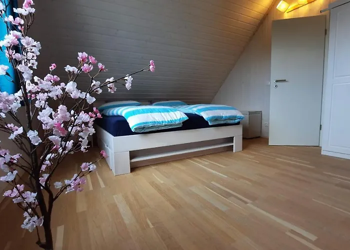 Casa Aniel * Olpenitz